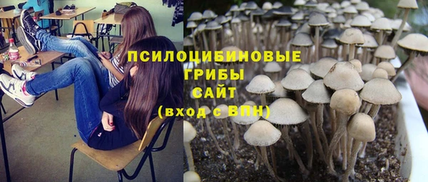 бошки Беломорск