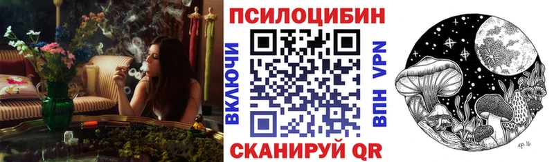 Псилоцибиновые грибы Psilocybine cubensis  Гудермес 