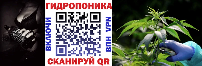 Бошки марихуана семена  Гудермес 